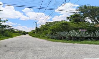 Foto de inmueble en calle ., Col. Baca C.P. 97450, Baca