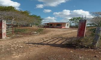 Foto de inmueble en calle 1, Col. Buctzotz C.P. 97620, Buctzotz