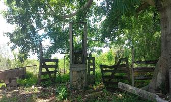 Foto de inmueble en calle 12, Col. Calotmul C.P. 97745, Calotmul