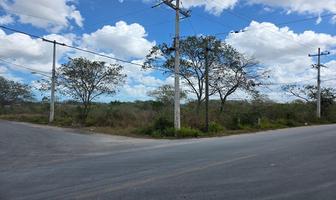 Foto de inmueble en calle 98, Col. Carrillo Ancona C.P. 97060, Mérida