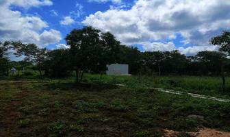 Foto de inmueble en , Col. Caxaytuk C.P. 97967, Tzucacab