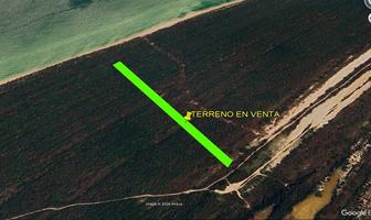 Foto de inmueble en calle 0, Col. Celestun C.P. 97367, Celestún