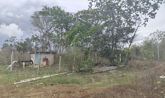 Foto de inmueble en calle 1, Col. Cenote Azul C.P. 97713, Tizimín