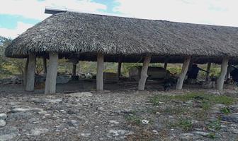 Foto de inmueble en calle 1, Col. Cenotillo C.P. 97640, Cenotillo