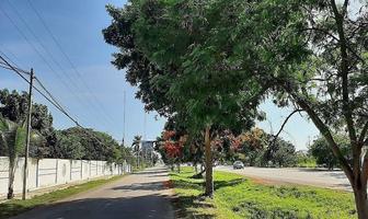 Foto de inmueble en PERIFERICO, Col. Chablekal C.P. 97302, Mérida