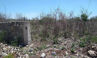 Foto de inmueble en Chichi Suarez, Col. Chichi Suárez C.P. 97306, Mérida