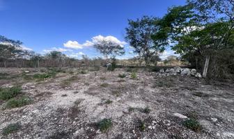 Foto de inmueble en , Col. Chichi Suárez C.P. 97306, Mérida