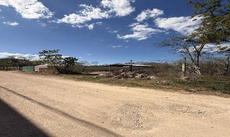 Foto de inmueble en calle 43, Col. Chichi Suárez C.P. 97306, Mérida
