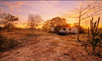 Foto de inmueble en calle 5, Col. Chichi Suárez C.P. 97306, Mérida
