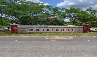 Foto de inmueble en , Col. Chicxulub C.P. 97340, Chicxulub Pueblo