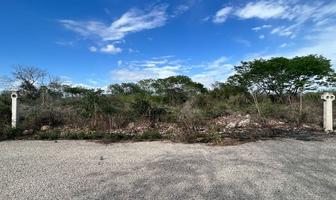 Foto de inmueble en , Col. Chicxulub C.P. 97340, Chicxulub Pueblo