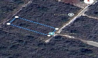 Foto de inmueble en , Col. Chicxulub C.P. 97340, Chicxulub Pueblo