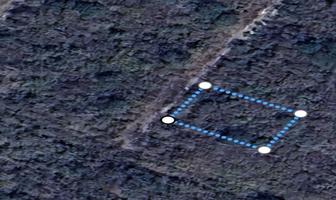 Foto de inmueble en , Col. Chicxulub C.P. 97340, Chicxulub Pueblo