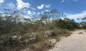 Foto de inmueble en , Col. Chicxulub C.P. 97340, Chicxulub Pueblo
