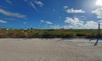 Foto de inmueble en , Col. Chicxulub C.P. 97340, Chicxulub Pueblo