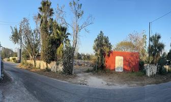 Foto de inmueble en , Col. Chicxulub C.P. 97340, Chicxulub Pueblo