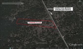 Foto de inmueble en Estupendas 9.9 ha a pie de la Carretera Mérida - Chicxulub Puerto / CFE Disponible, Col. Chicxulub C.P. 97340, Chicxulub Pueblo