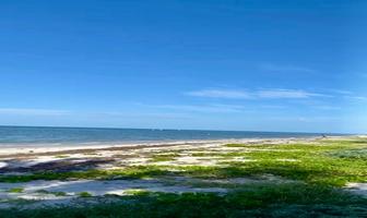 Foto de inmueble en Lacoste, Col. Chicxulub Puerto C.P. 97330, Progreso