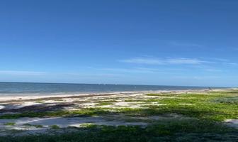 Foto de inmueble en , Col. Chicxulub Puerto C.P. 97330, Progreso