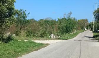Foto de inmueble en Terreno en Venta en Chicxulub Pueblo, Col. Chicxulub C.P. 97340, Chicxulub Pueblo