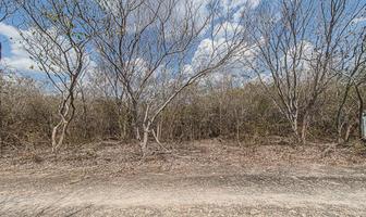 Foto de inmueble en , Col. Cholul C.P. 97305, Mérida