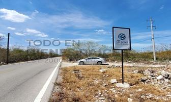 Foto de inmueble en Carretera Yobaín – Dzidzantún, Col. Chuburna Puerto C.P. 97336, Progreso