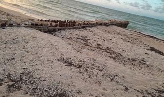 Foto de inmueble en , Col. Chuburna Puerto C.P. 97336, Progreso