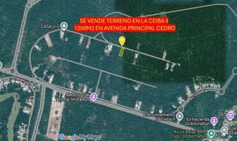 Foto de inmueble en Cedro, Col. Club de Golf La Ceiba C.P. 97302, Mérida