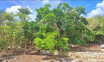 Foto de inmueble en , Col. Colonia Yucatán C.P. 97710, Tizimín