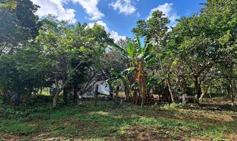 Foto de inmueble en , Col. Colonia Yucatán C.P. 97710, Tizimín