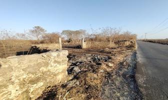 Foto de inmueble en , Col. Conkal C.P. 97345, Conkal