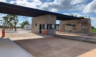 Foto de inmueble en calle 21, Col. Dzibilchaltún C.P. 97305, Mérida