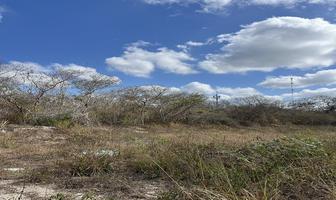 Foto de inmueble en Zona Country, Col. Dzidzantun C.P. 97500, Dzidzantún