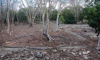 Foto de inmueble en Privada Ceiba, Col. Dzidzilché C.P. 97302, Mérida