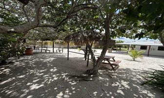 Foto de inmueble en , Col. Dzilam de Bravo C.P. 97606, Dzilam de Bravo