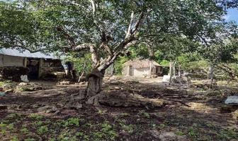 Foto de inmueble en , Col. Dzilam de Bravo C.P. 97606, Dzilam de Bravo