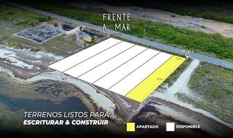 Foto de inmueble en calle 11, Col. Dzilam de Bravo C.P. 97606, Dzilam de Bravo