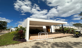 Foto de inmueble en 3956+V9 Mérida, Yucatán, Col. Dzitya C.P. 97302, Mérida