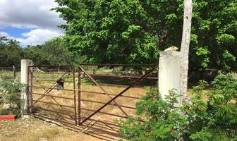 Foto de inmueble en , Col. Dzoncauich C.P. 97646, Dzoncauich