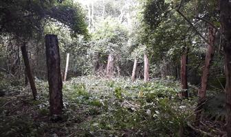 Foto de inmueble en CALLE 23, Col. El Cuyo C.P. 97707, Tizimín