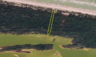 Foto de inmueble en El Cuyo, Col. El Cuyo C.P. 97707, Tizimín