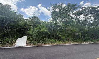 Foto de inmueble en Cedro, Col. Gran San Pedro Cholul C.P. 97305, Mérida