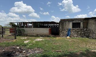 Foto de inmueble en calle 5, Col. Ixil C.P. 97343, Ixil