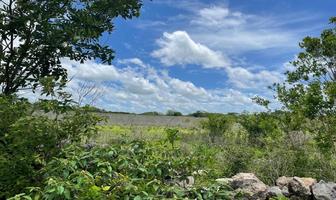 Foto de inmueble en , Col. Izamal C.P. 97540, Izamal