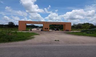 Foto de inmueble en Izamal Campestre Yucatan, 2 Lotes EN Venta, Col. Izamal C.P. 97540, Izamal