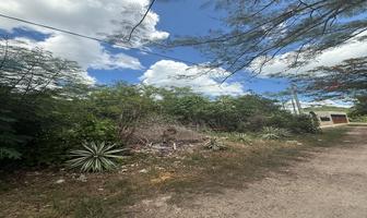 Foto de inmueble en JALAPA CHOLUL, Col. Jalapa C.P. 97305, Mérida