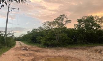 Foto de inmueble en Carretera Kikteil- Sierra Papakal, Col. Komchen C.P. 97302, Mérida