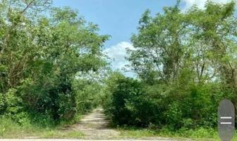 Foto de inmueble en Sierra, Col. Las Palmas C.P. 97320, Progreso