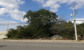 Foto de inmueble en 149, Col. Los Héroes C.P. 97306, Mérida