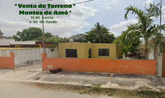 Foto de inmueble en calle 42, Col. Montes de Ame C.P. 97115, Mérida